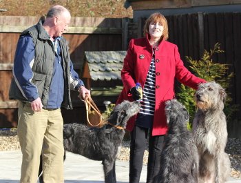 Helpful Hounds